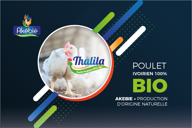 Visuel _Article Thalila
